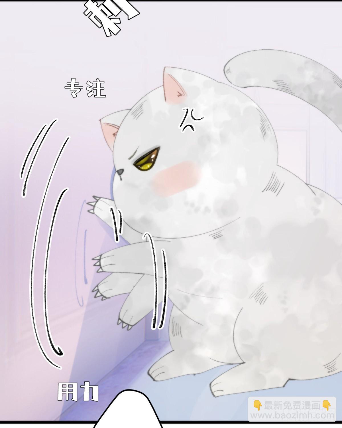《我捡的流浪猫变成人了？》113.送你花花 第19页
