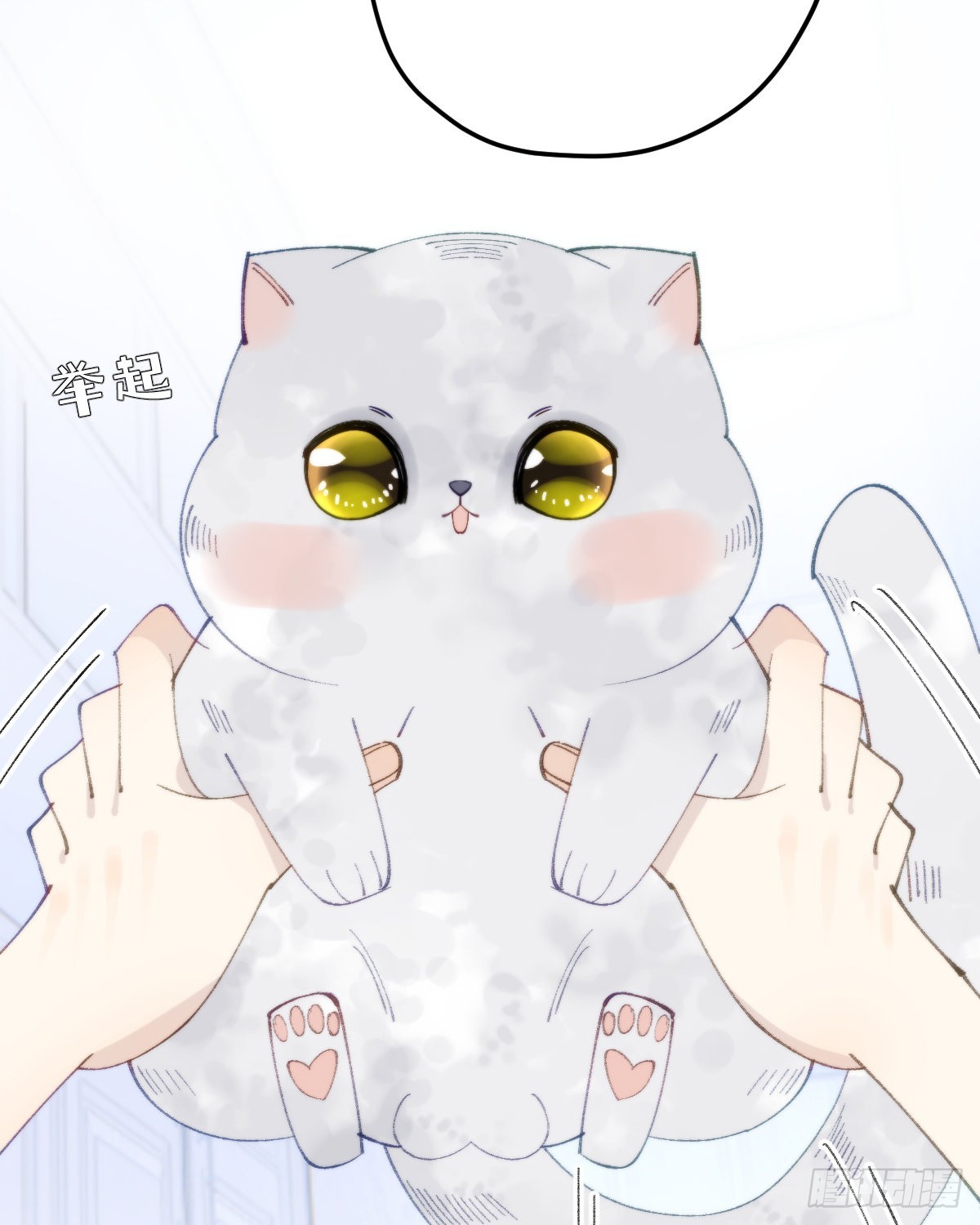 《我捡的流浪猫变成人了？》113.送你花花 第48页