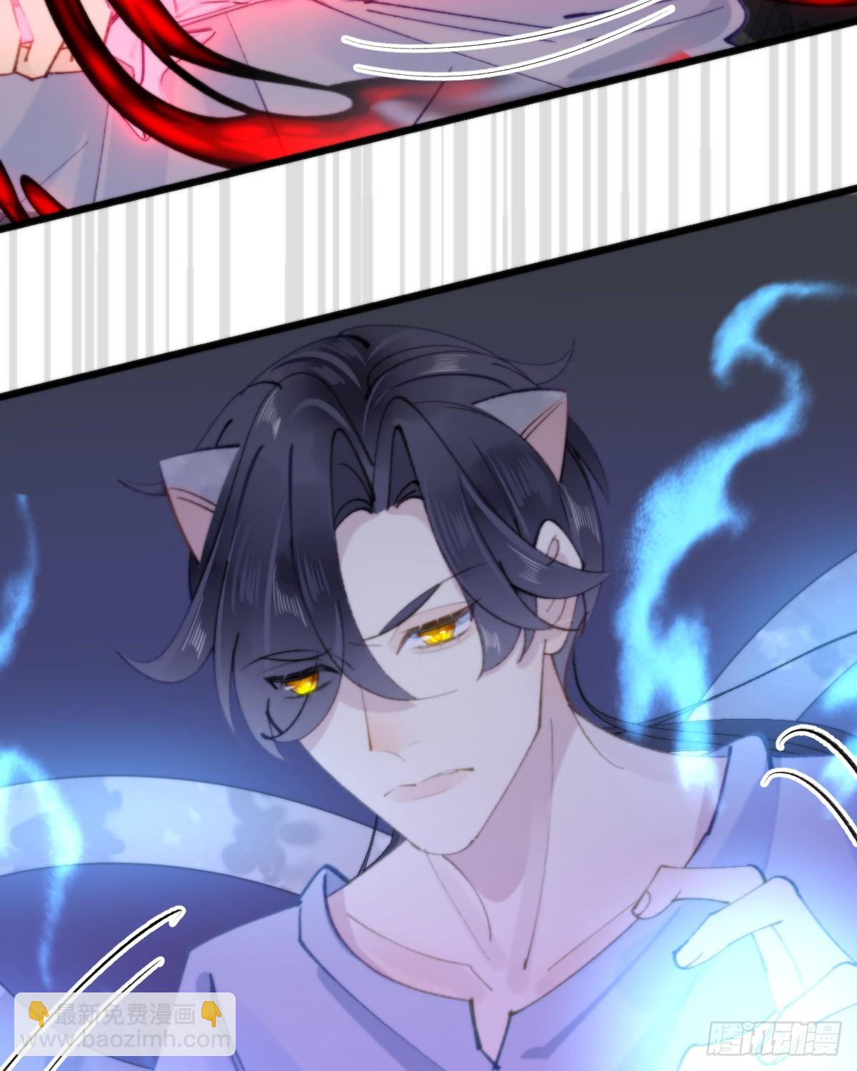 《我捡的流浪猫变成人了？》115.舍身 第39页