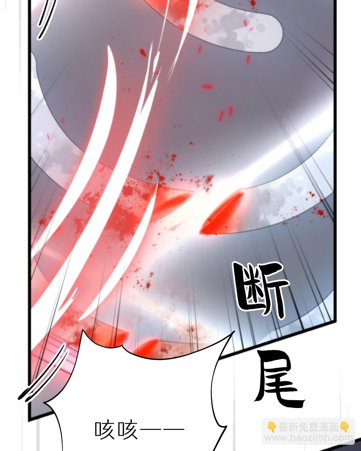 《我捡的流浪猫变成人了？》115.舍身 第41页
