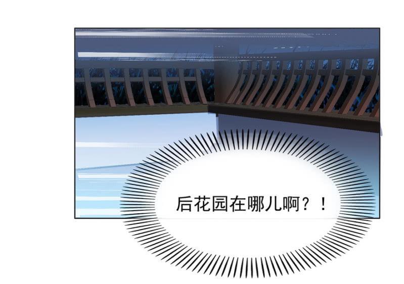 《王爷爱上“公公”》险象环生 第47页