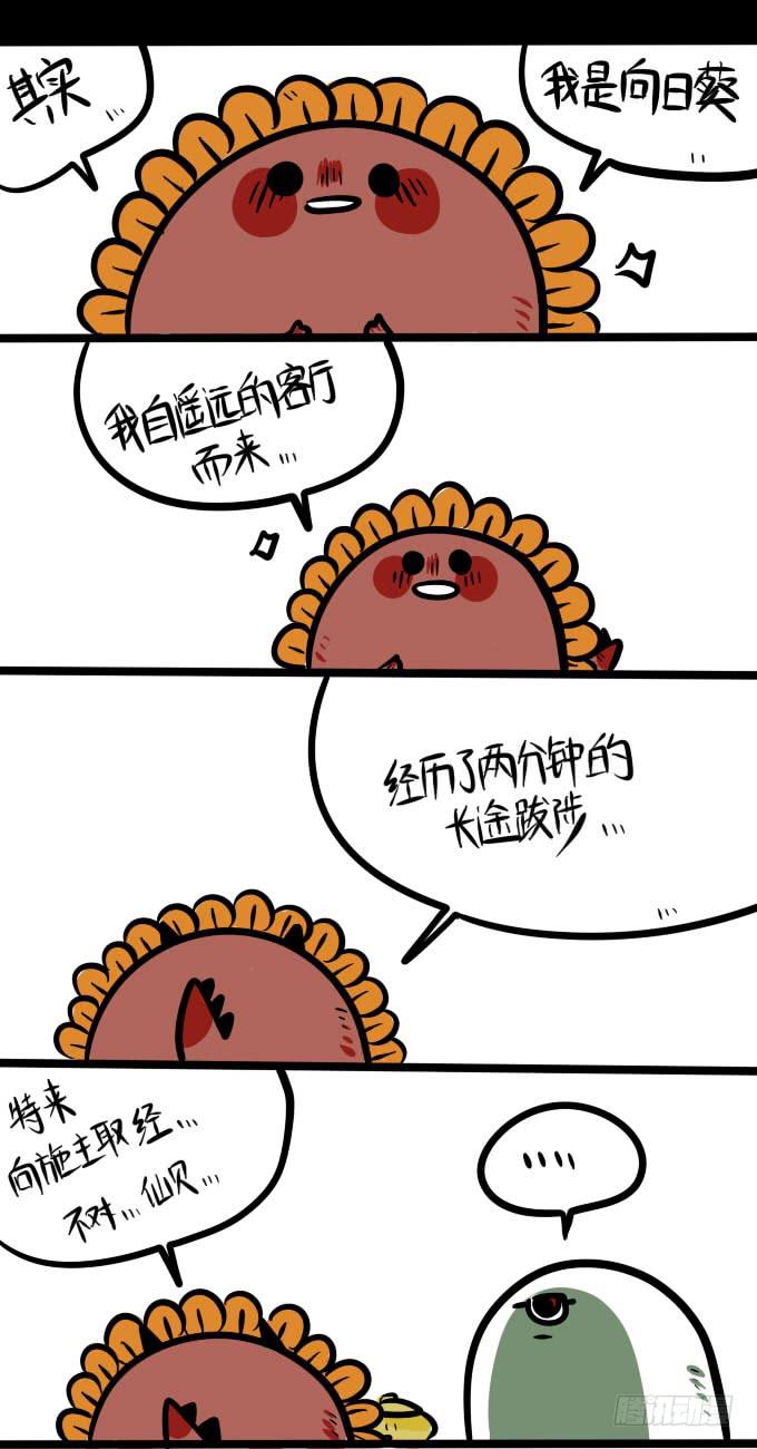 《一只胖砸的故事》减肥？！（中） 第1页