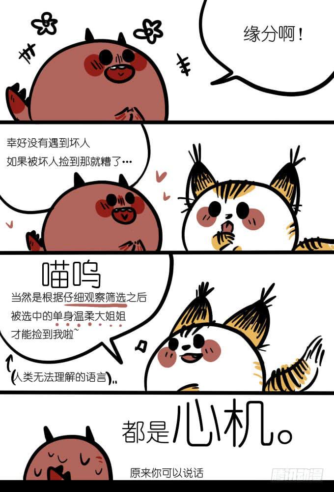 《一只胖砸的故事》都是心机 第2页