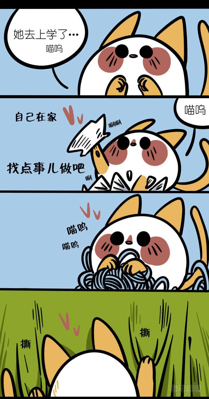 《一只胖砸的故事》自己在家！ 第1页