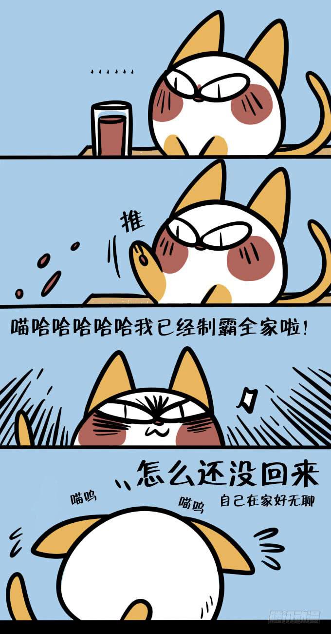 《一只胖砸的故事》自己在家！ 第2页