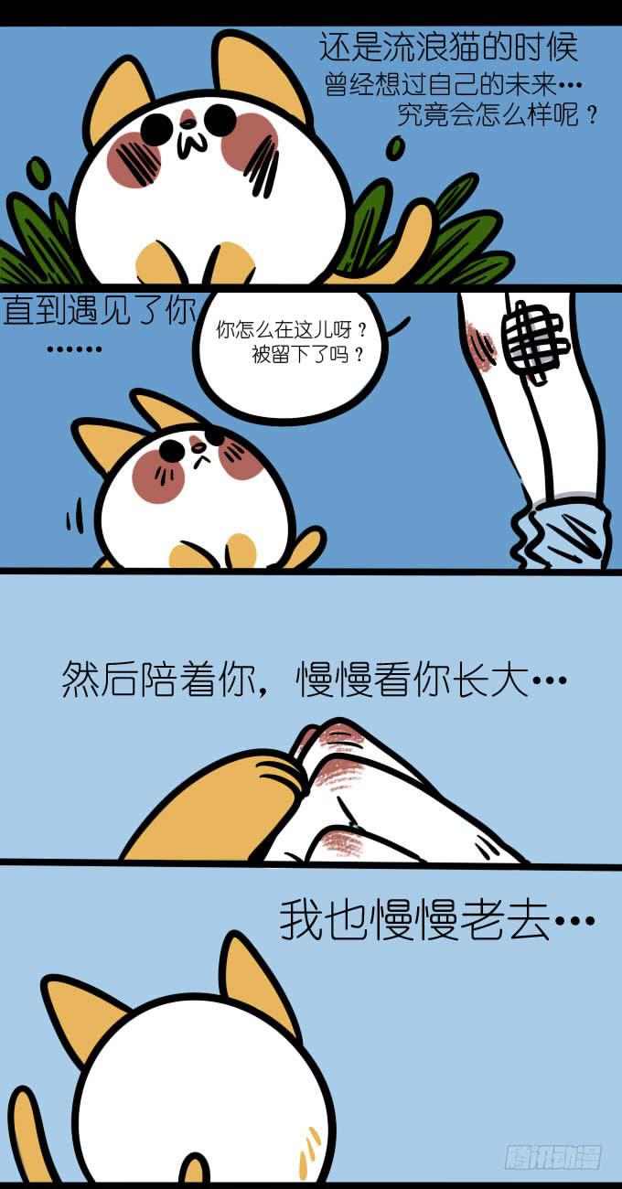 《一只胖砸的故事》别哭 第1页