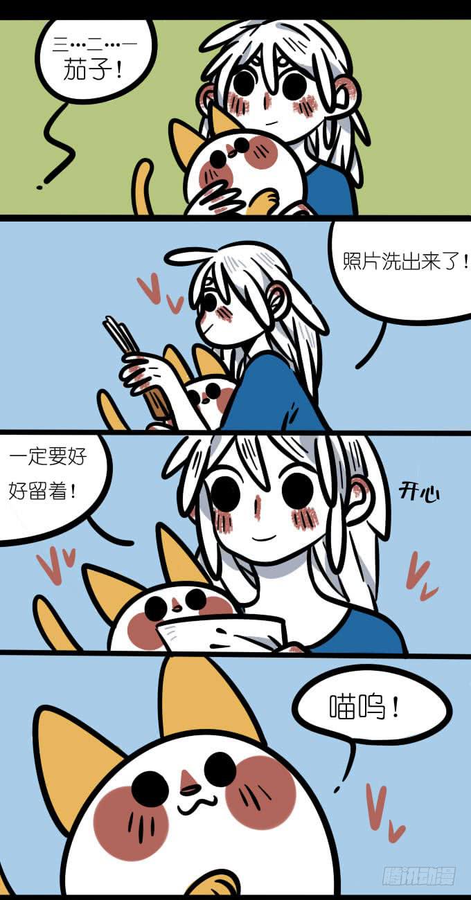 《一只胖砸的故事》来世 第1页