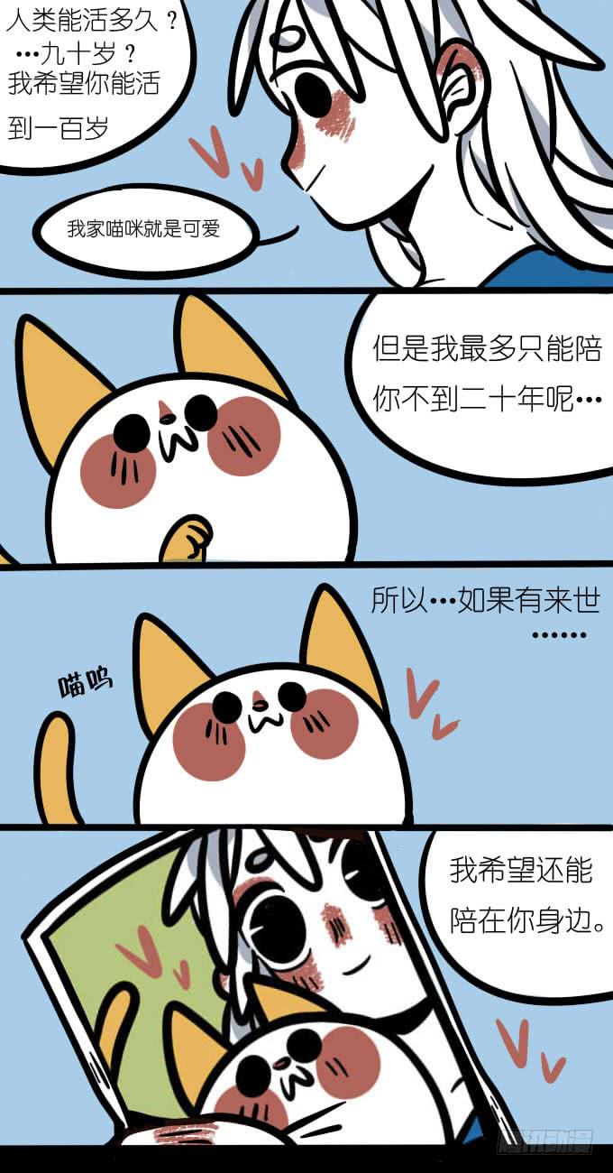 《一只胖砸的故事》来世 第2页