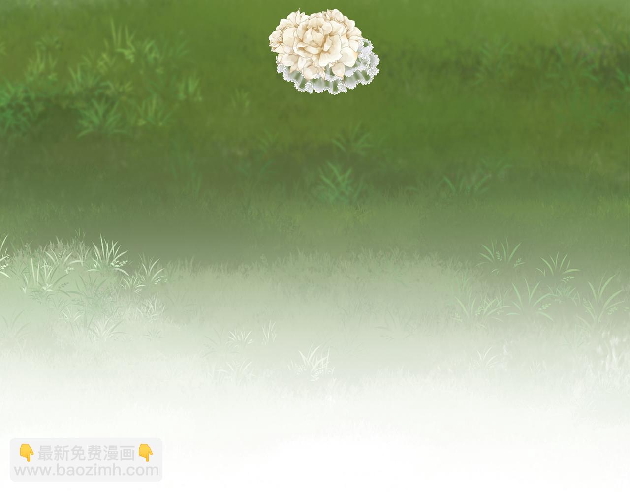 《娜丽塔斯·一半的伯爵小姐》第34话 她的眼泪 第29页