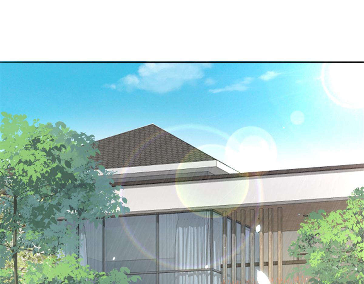 《致命媚妻总裁要复婚》第49话 量身定制的剧本 第43页