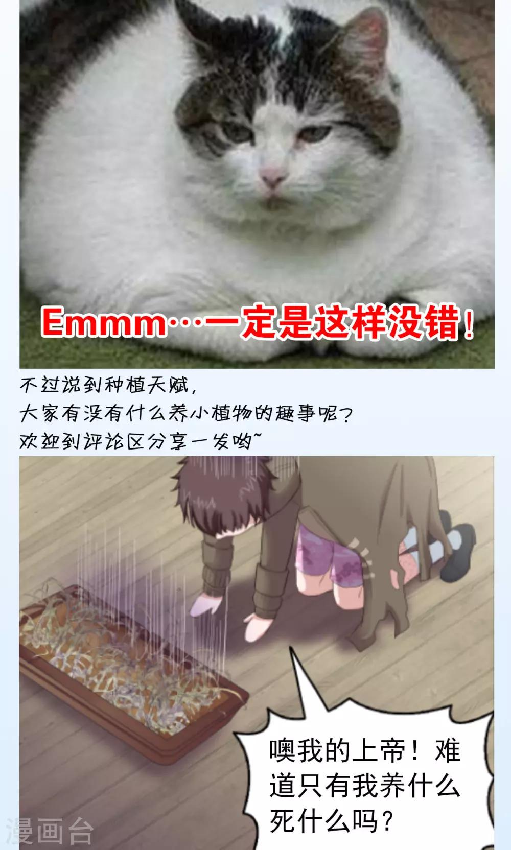 《末日超神激动队》第36话 种植之力 第17页