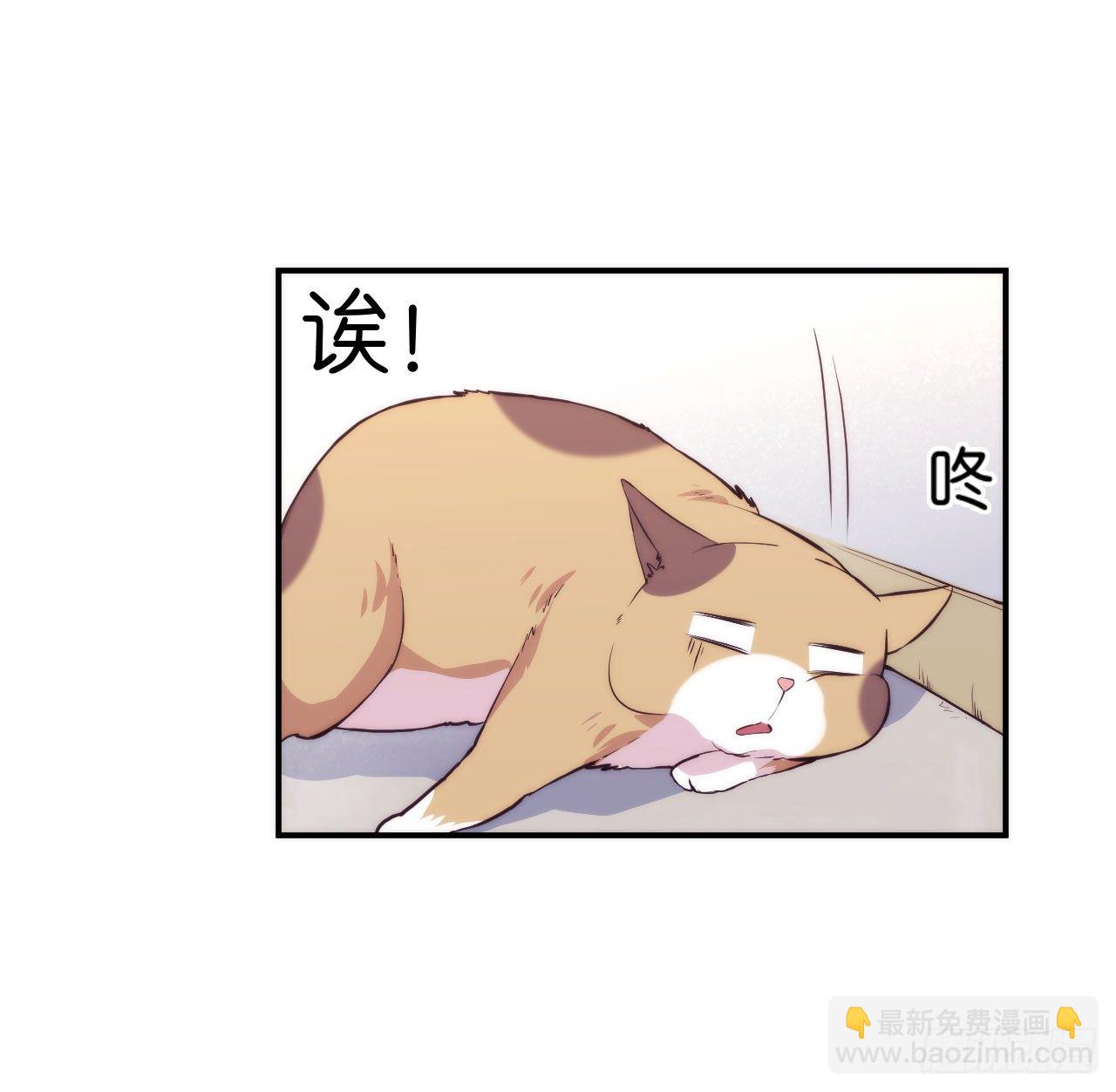 《要有光》【第5话】猫的报恩 第10页