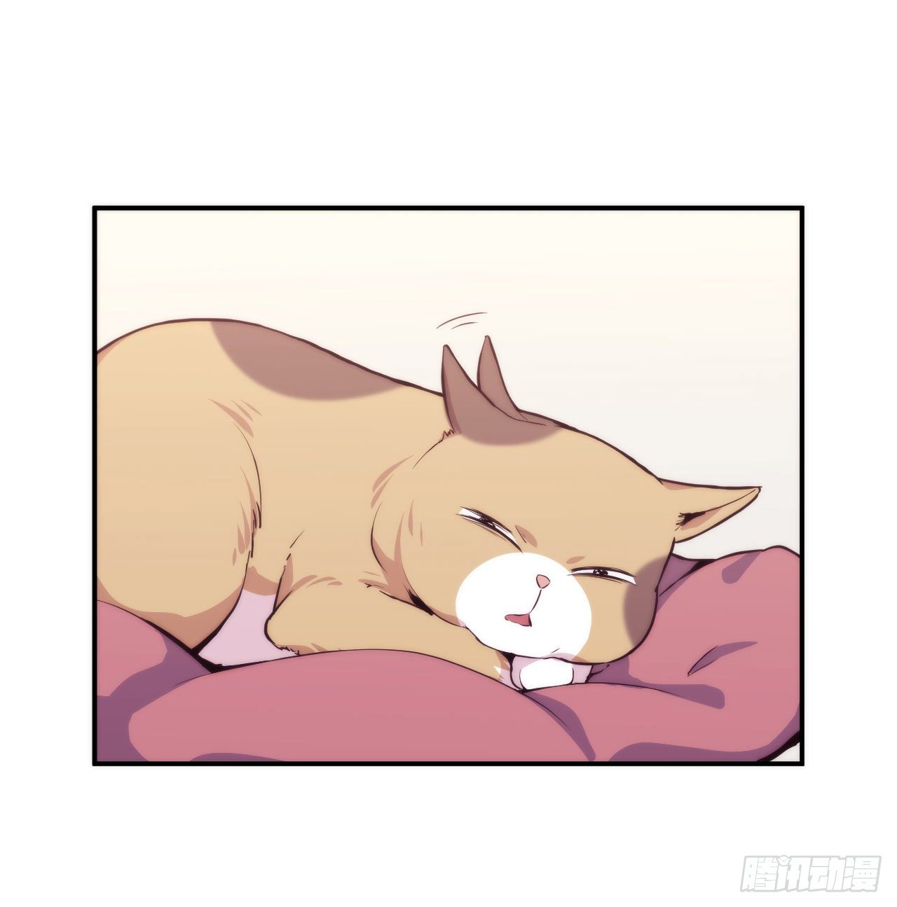 《要有光》【第5话】猫的报恩 第12页