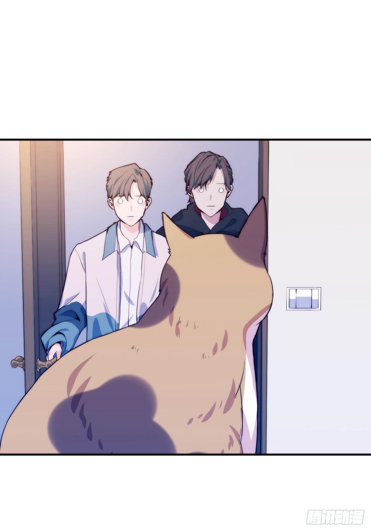 《要有光》【第5话】猫的报恩 第16页