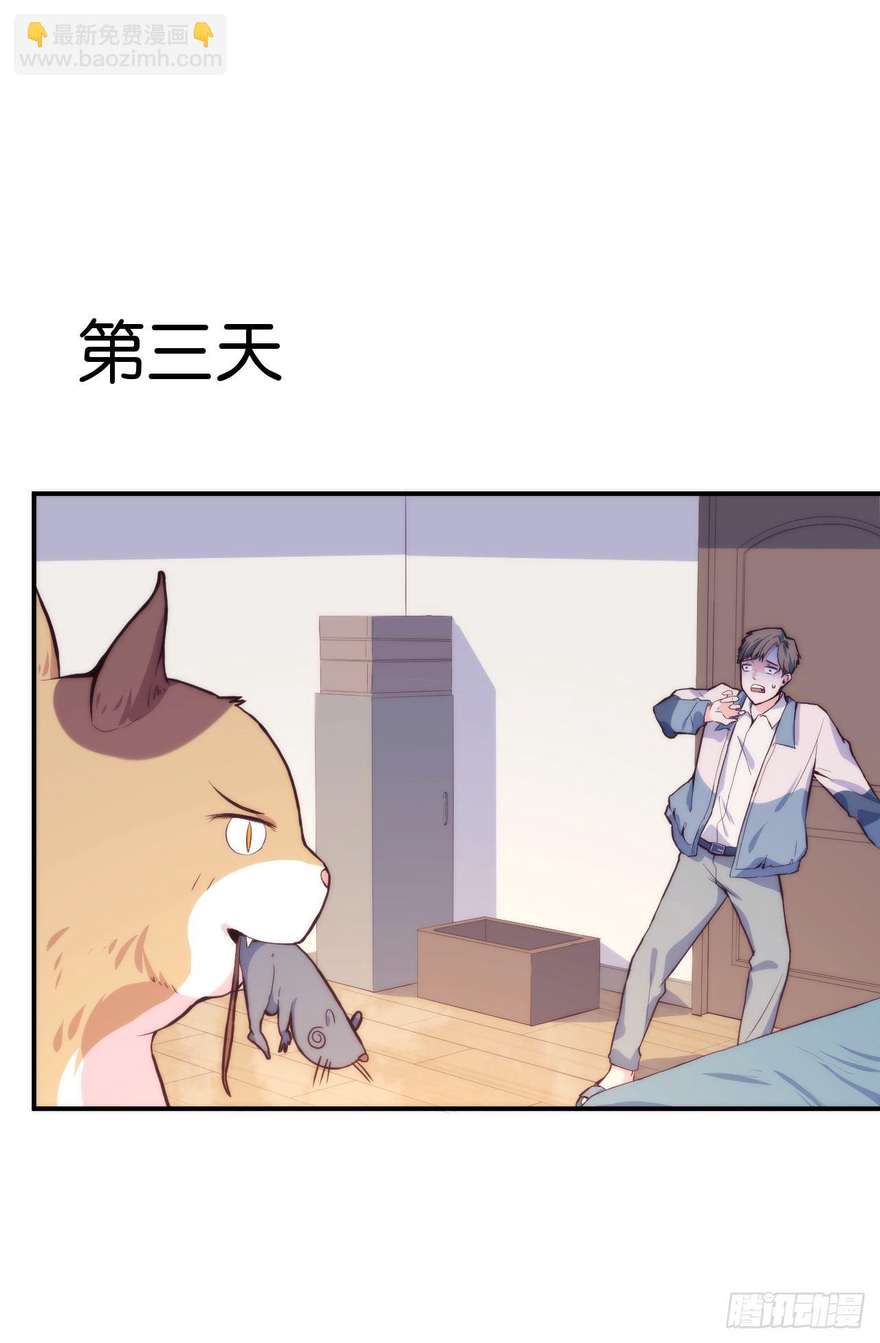 《要有光》【第5话】猫的报恩 第20页