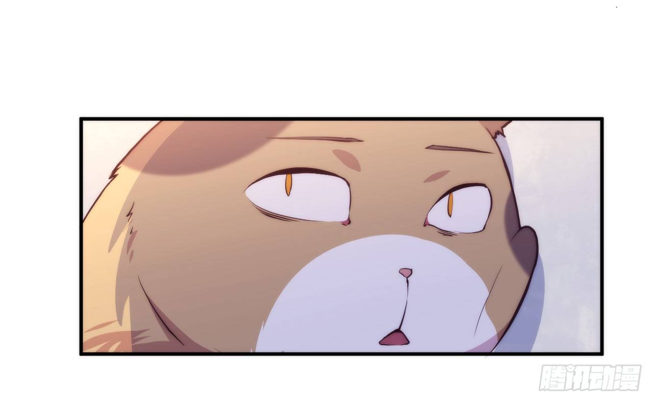 《要有光》【第5话】猫的报恩 第4页