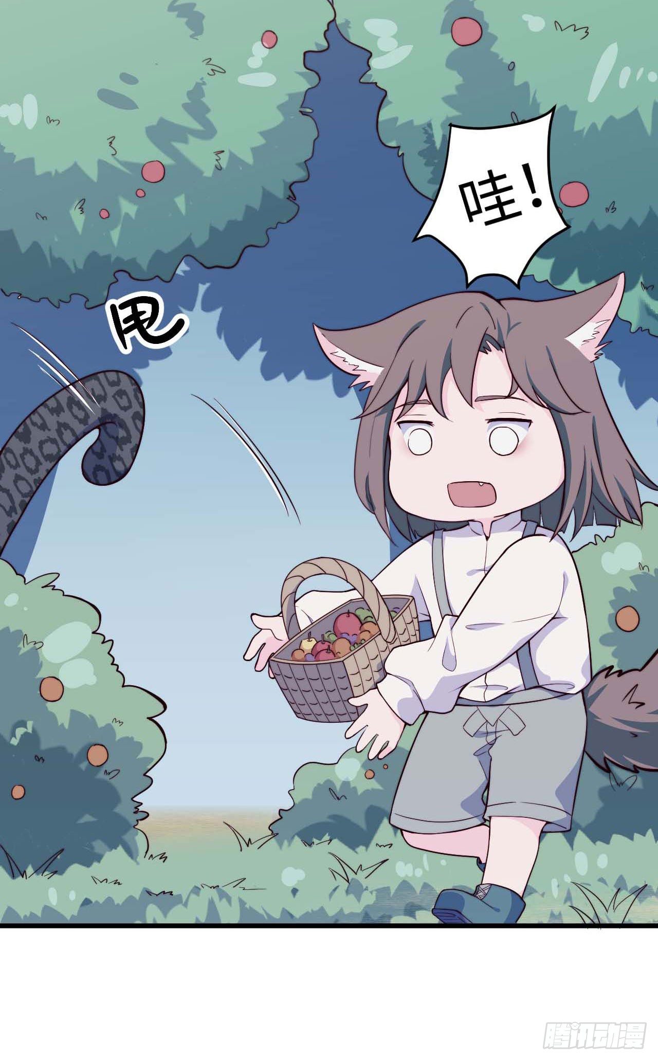 《要有光》【特别篇】森林历险记1 第11页