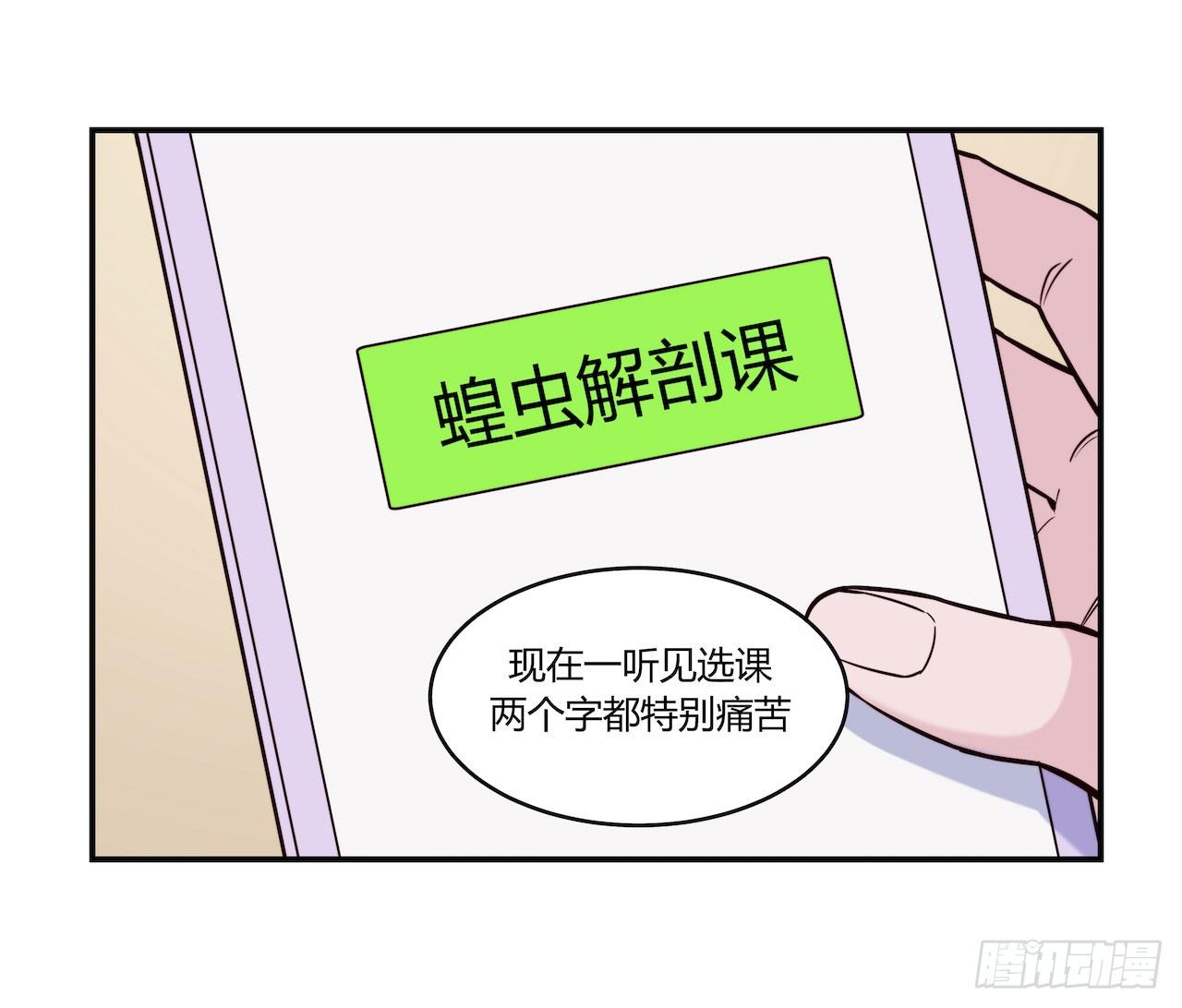 《要有光》【第78话】选课 第4页
