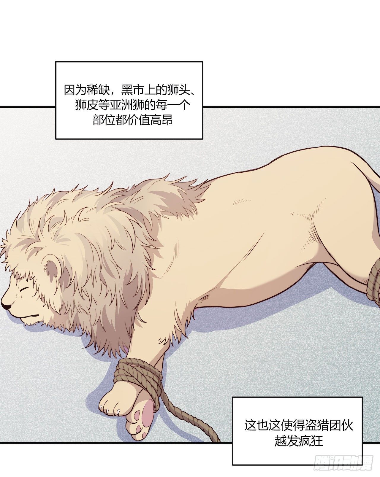 《要有光》【特别篇】地球狮与外星猫2 第5页