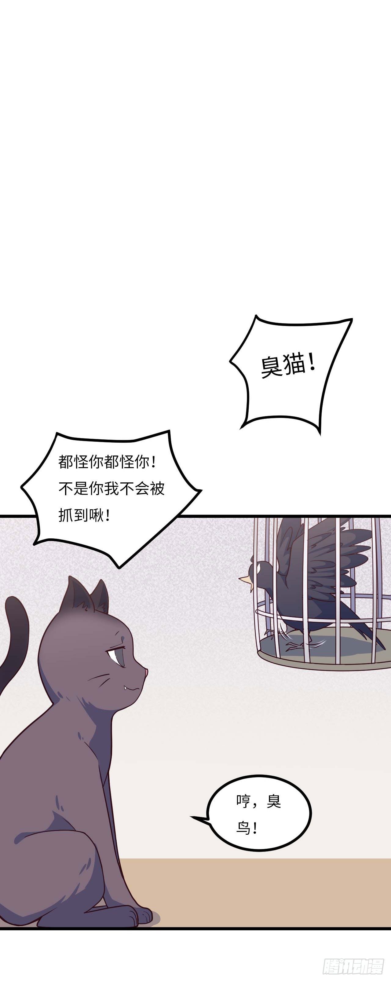 《要有光》【特别篇】是乌鸫不是乌鸦2 第11页