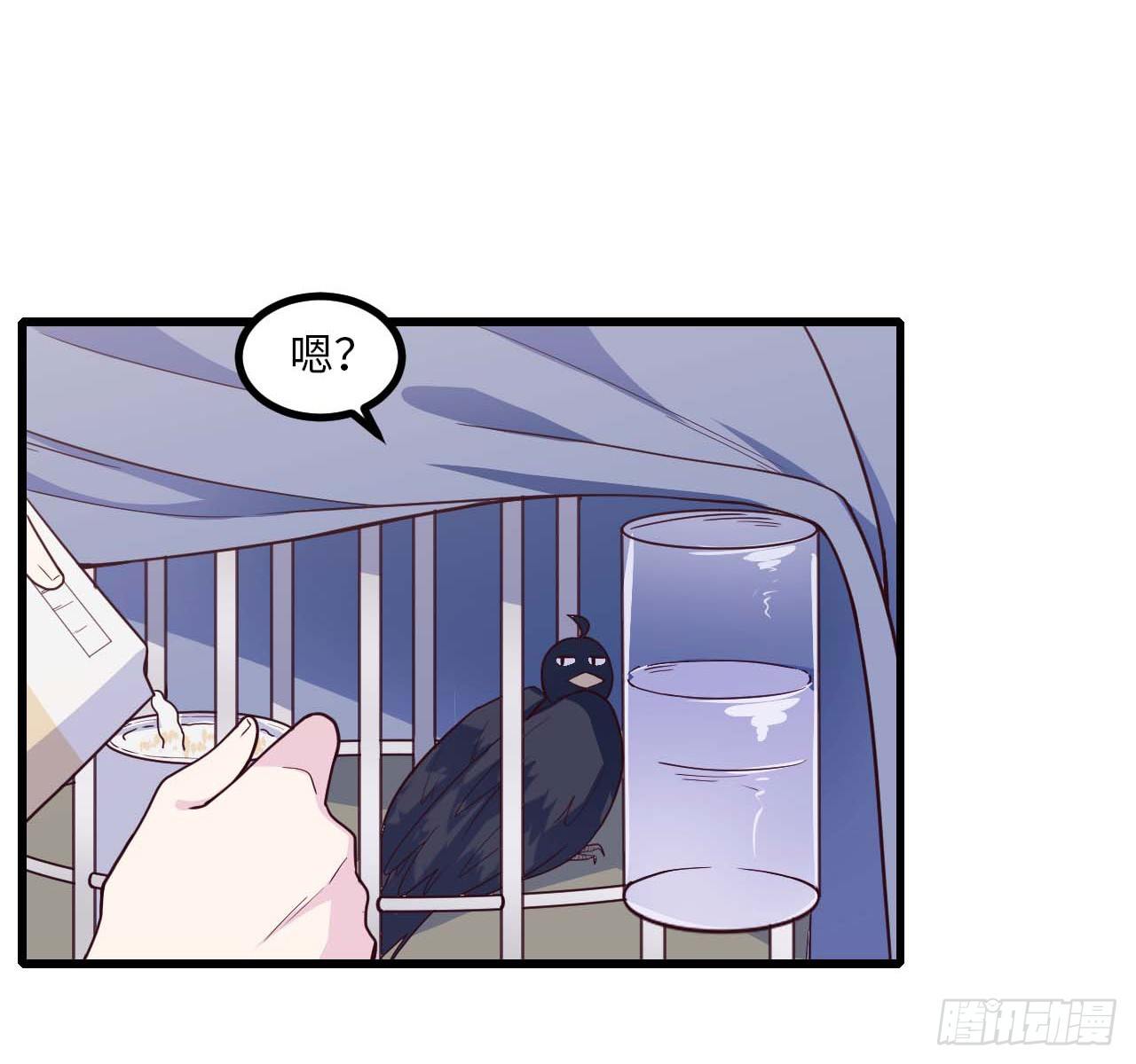 《要有光》【特别篇】是乌鸫不是乌鸦2 第15页