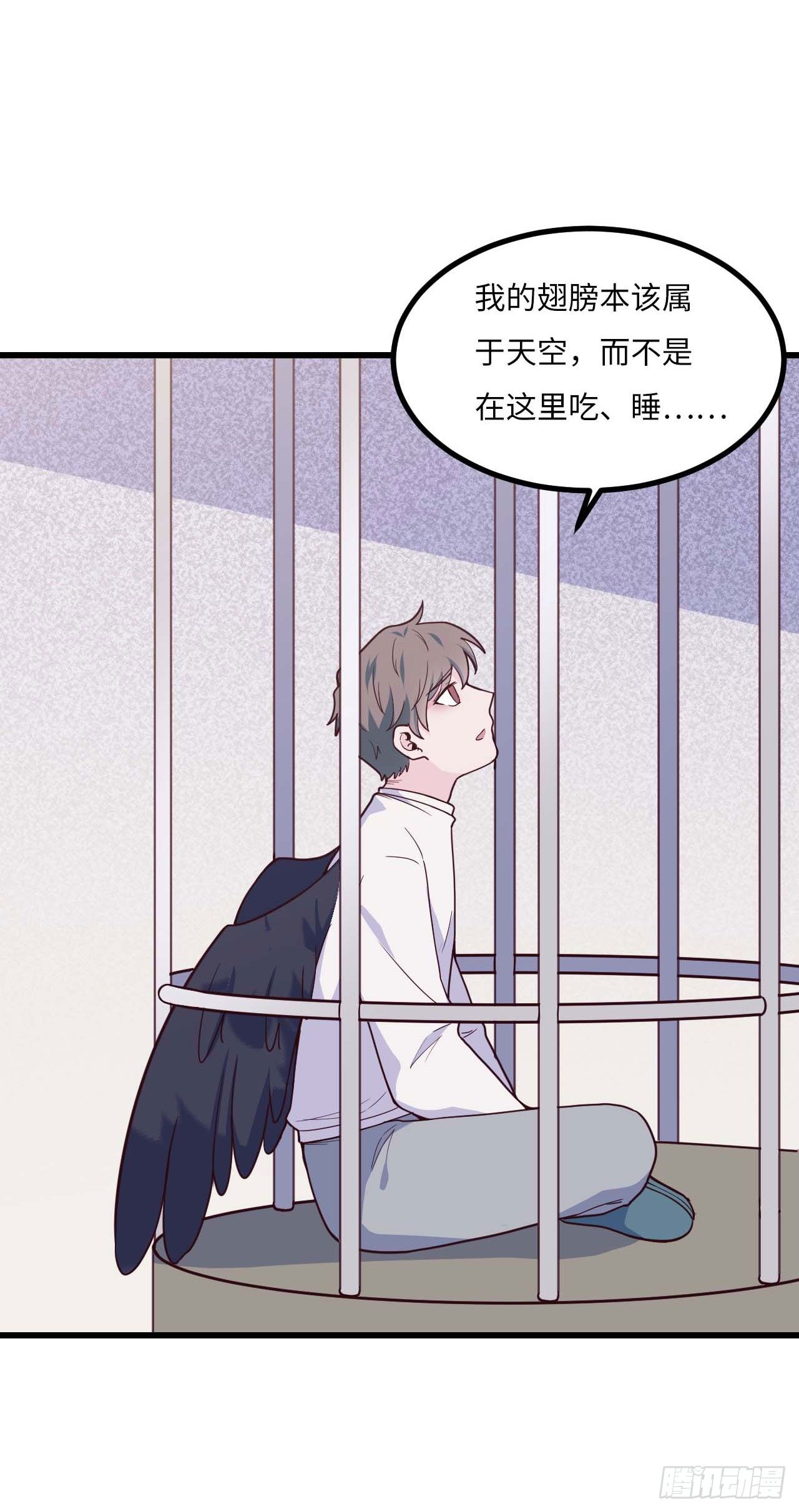 《要有光》【特别篇】是乌鸫不是乌鸦2 第20页