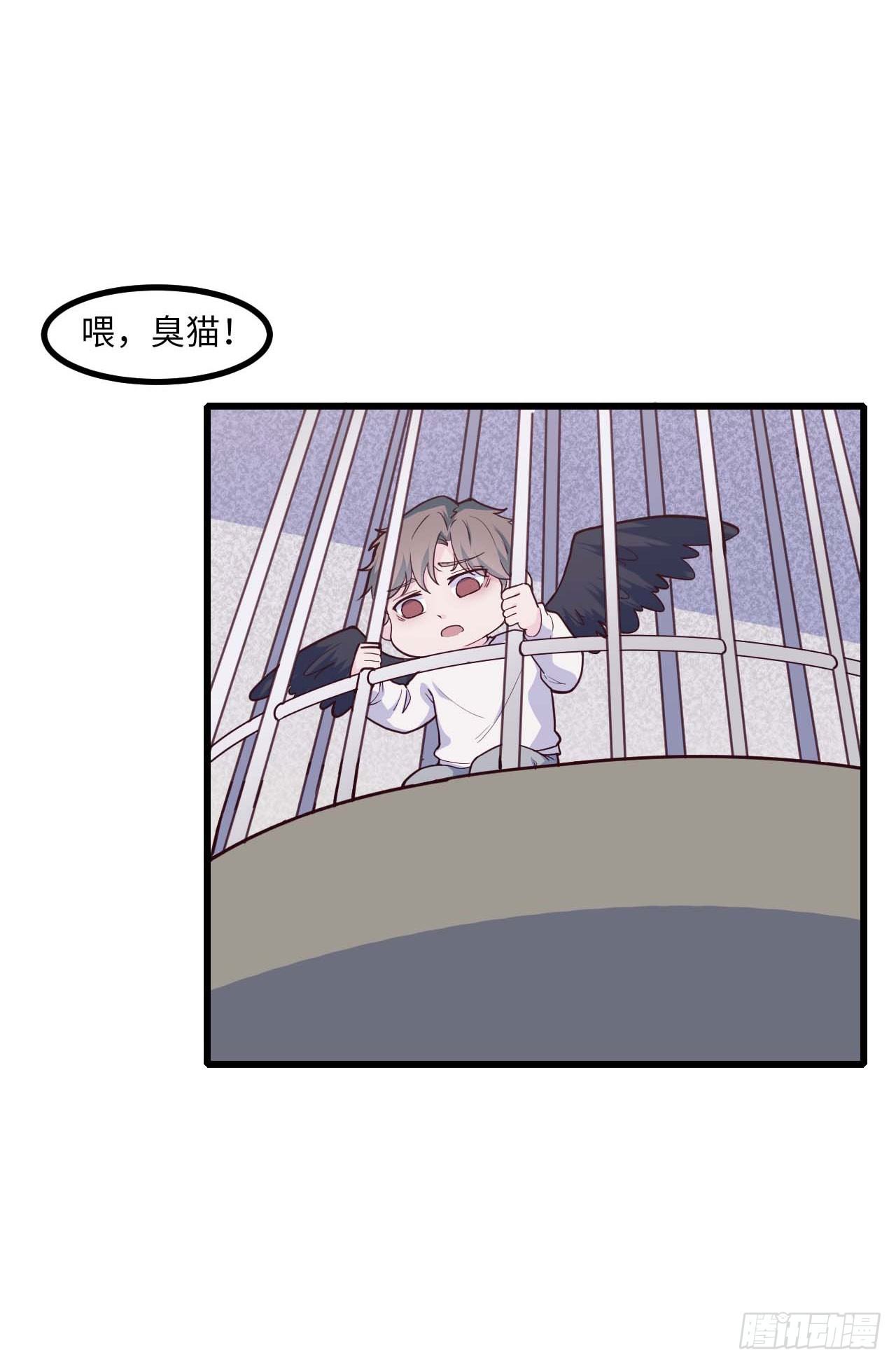 《要有光》【特别篇】是乌鸫不是乌鸦2 第23页