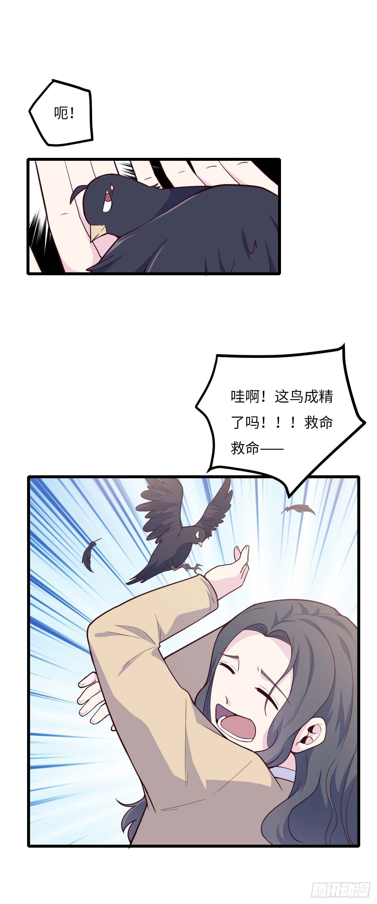 《要有光》【特别篇】是乌鸫不是乌鸦2 第40页