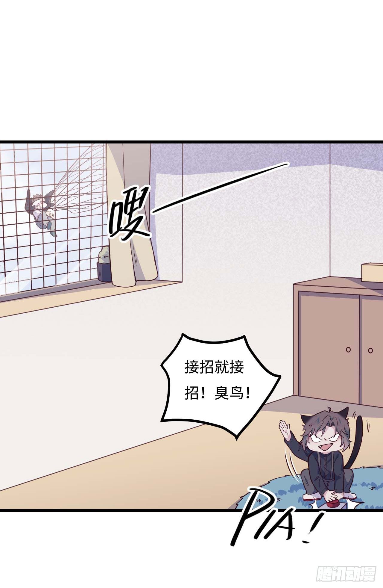 《要有光》【特别篇】是乌鸫不是乌鸦2 第7页