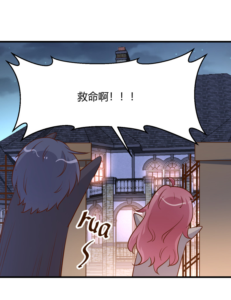 《暖婚100分总裁轻点宠》第19话 她居然跟那个贱种在... 第14页