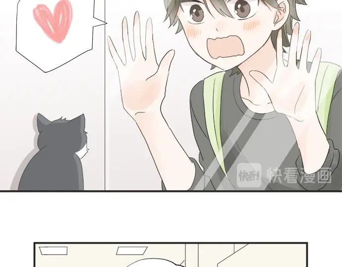 《不协调的恋爱》第9话 宠物店 第40页