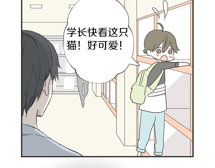 《不协调的恋爱》第9话 宠物店 第41页