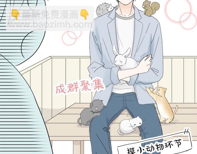 《不协调的恋爱》第9话 宠物店 第44页