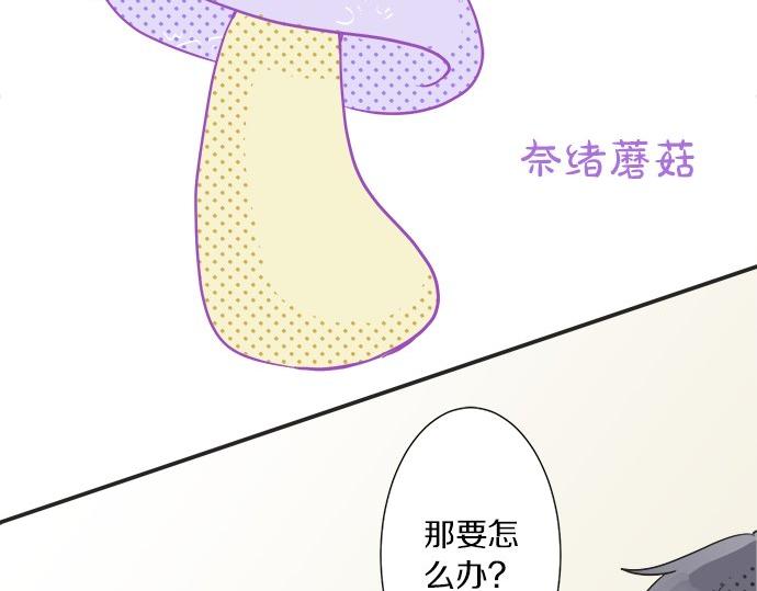 《不协调的恋爱》第28话 才贺城攻略计划 第15页