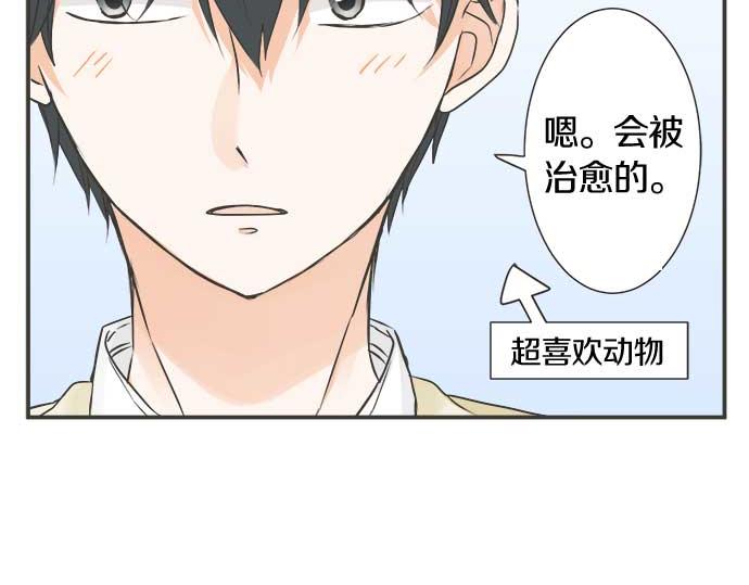 《不协调的恋爱》第121话 再次挑战 第13页
