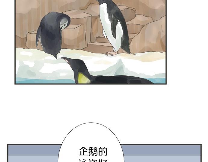 《不协调的恋爱》第123话 企鹅情侣 第33页