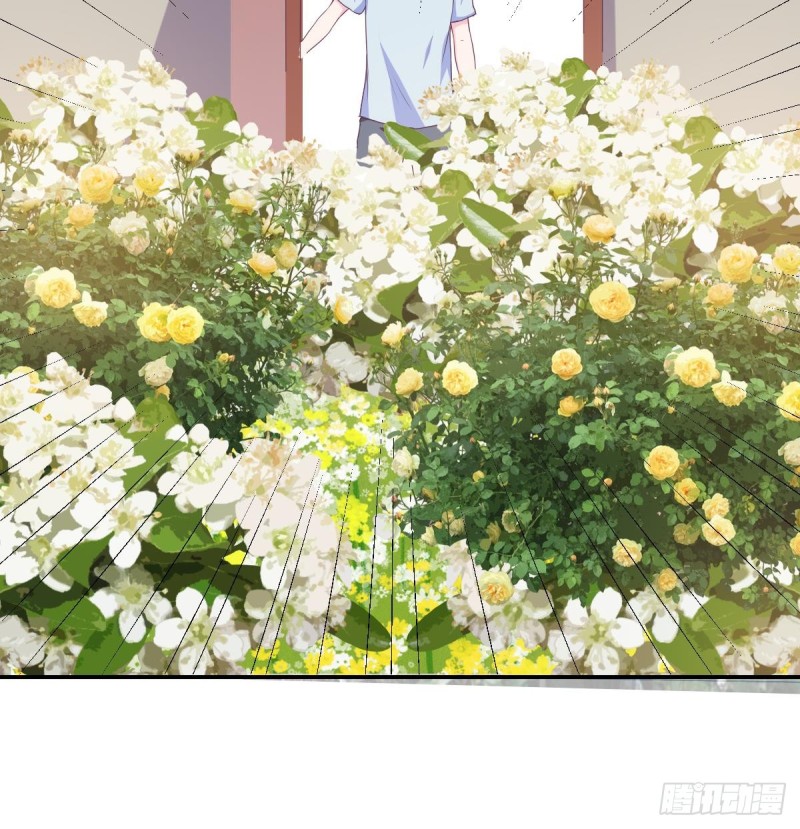《总裁的一周恋人》第77话 你这个笨蛋！ 第48页