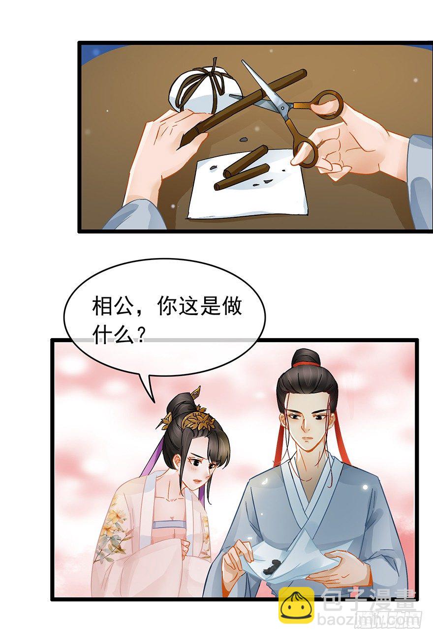 《南宋第一卧底》第22回 筹谋计划 第12页