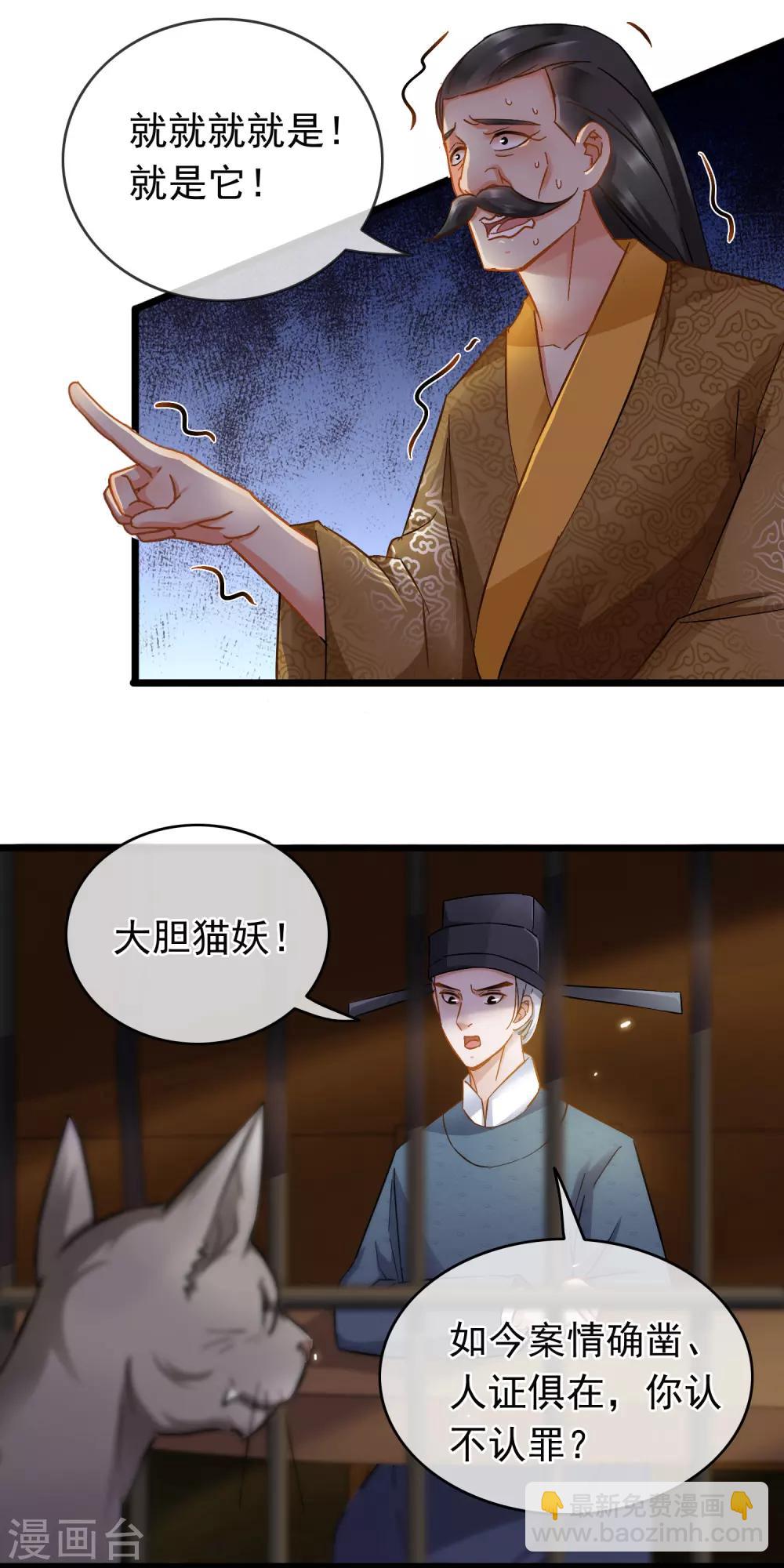 《南宋第一卧底》第53话 猫妖开口 第13页