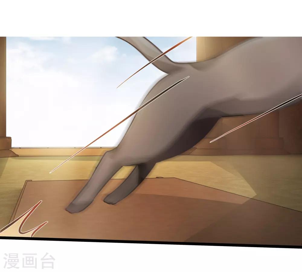 《南宋第一卧底》第54话 猫妖指认 第10页