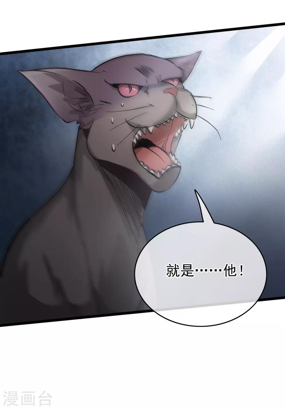 《南宋第一卧底》第54话 猫妖指认 第12页