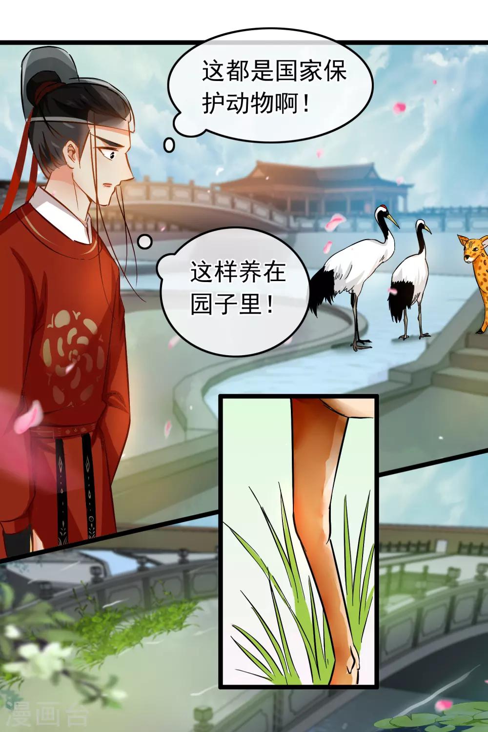 《南宋第一卧底》第76话 侍卫长江城 第7页