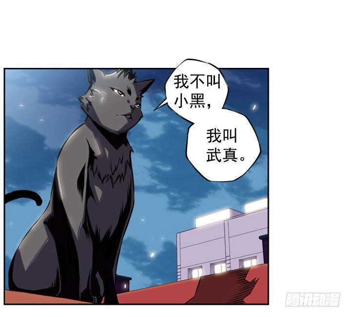 《斗神养成实录》继承人 第15页