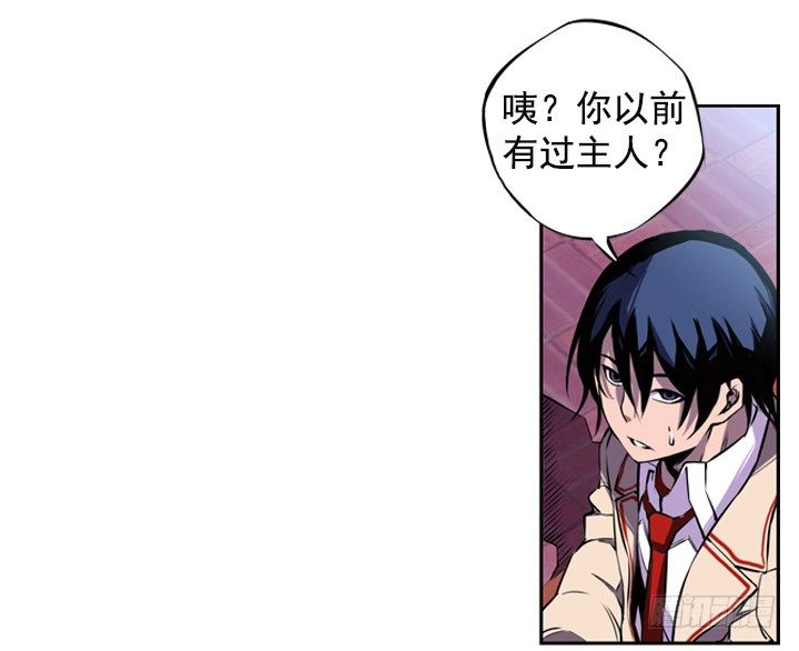 《斗神养成实录》继承人 第16页