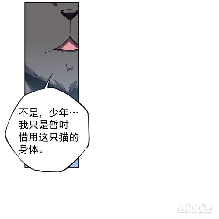 《斗神养成实录》继承人 第17页