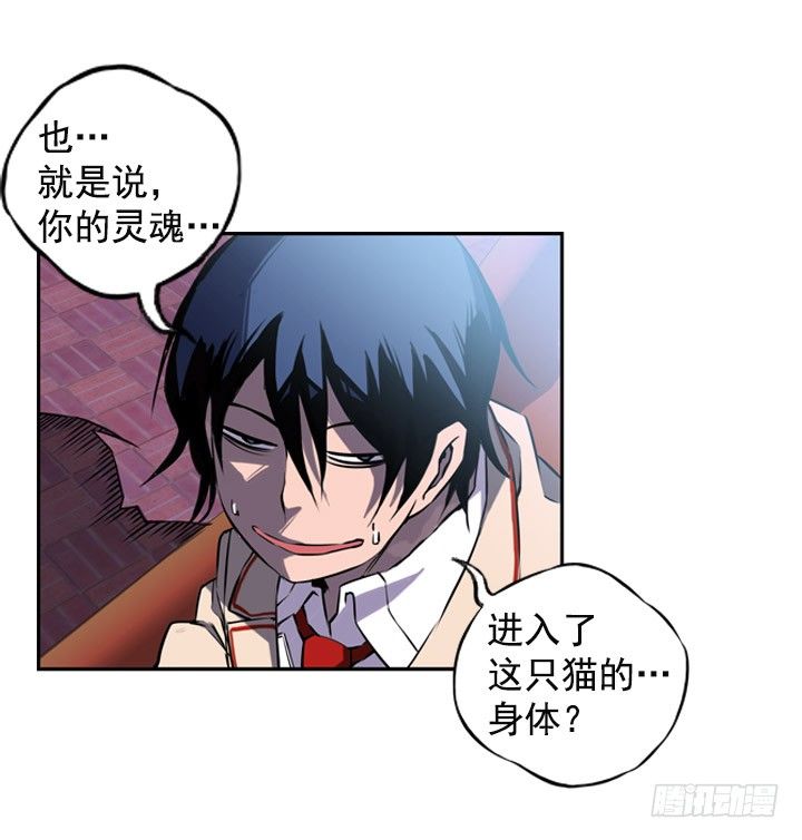 《斗神养成实录》继承人 第19页