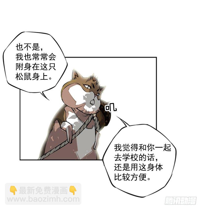 《斗神养成实录》继承人 第40页