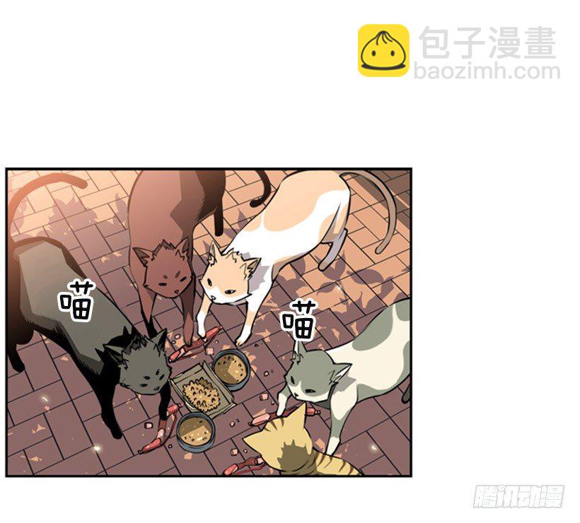 《斗神养成实录》旁观者 第37页