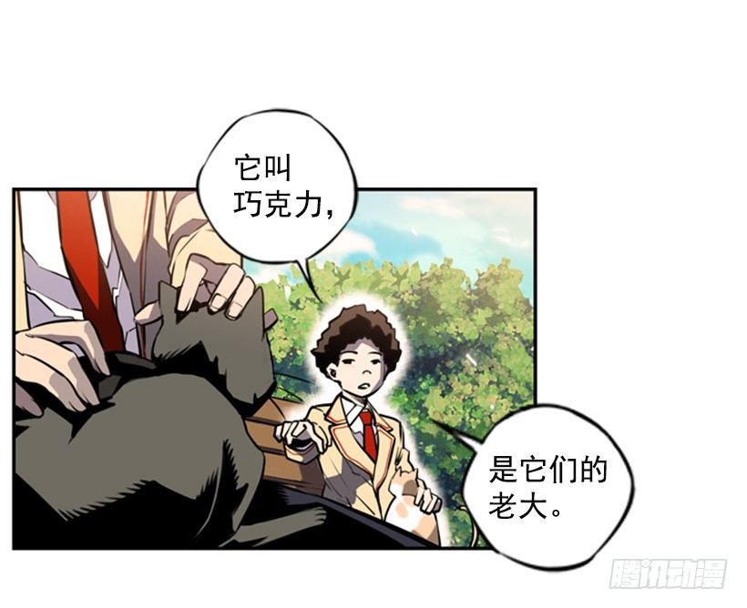 《斗神养成实录》旁观者 第47页