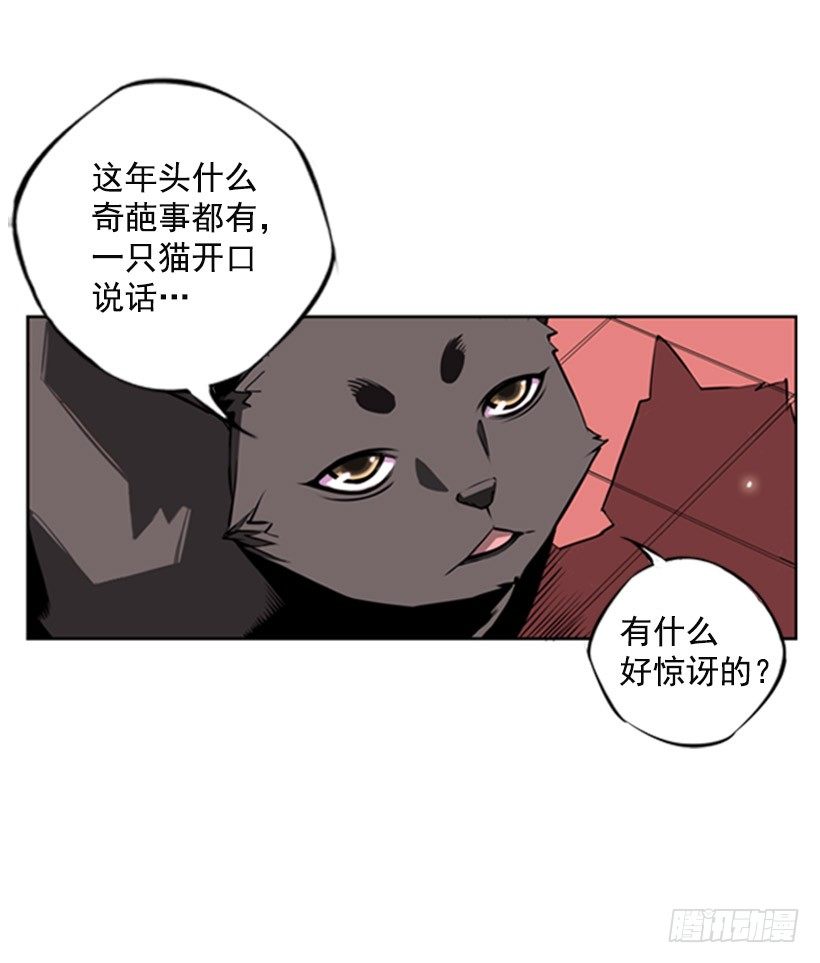 《斗神养成实录》斗神 第10页
